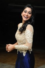 Regina at Pilla Nuvvu leni Jeevitham Success Meet